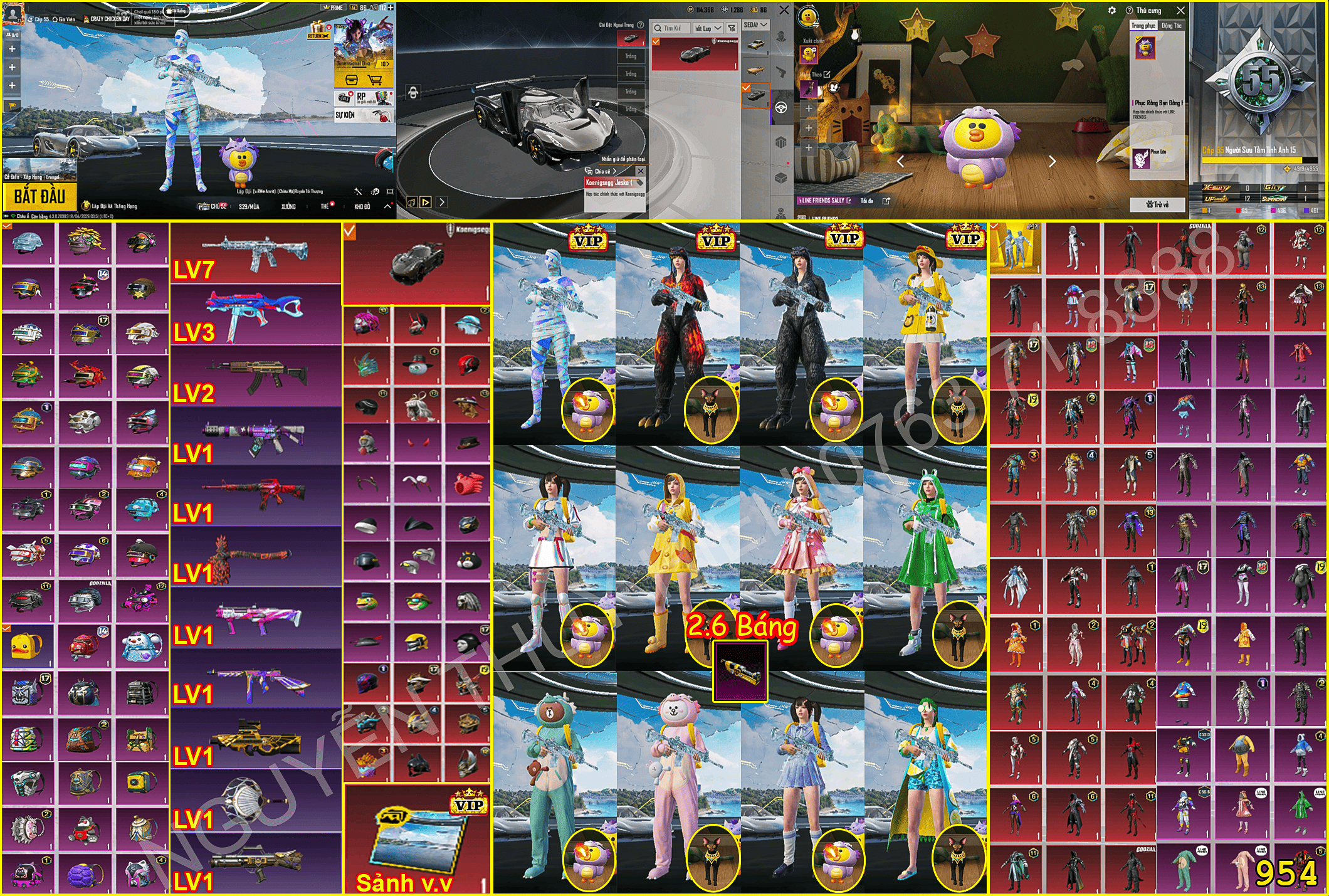 Acc ACC PUBG MOBILE MS 94775