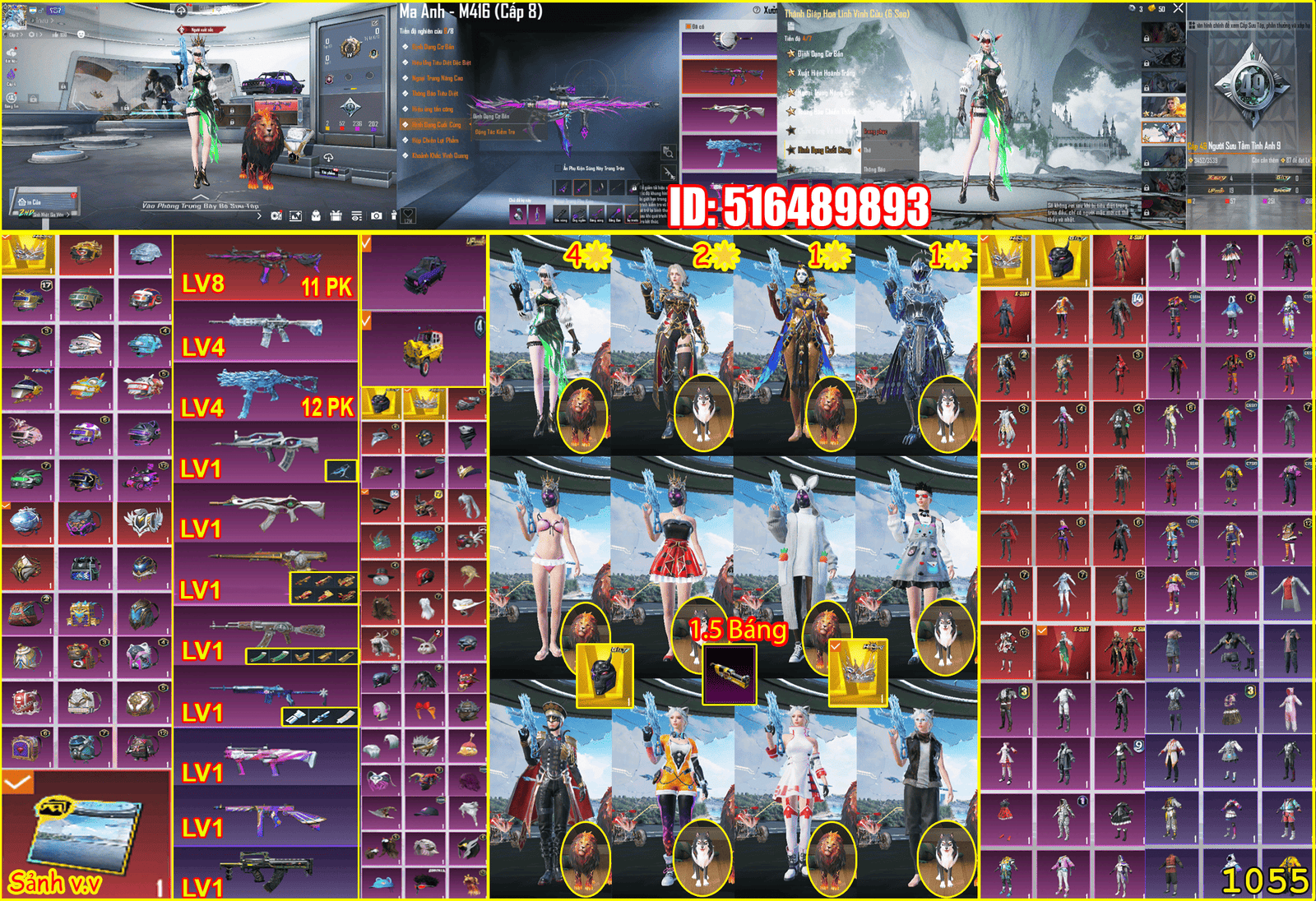 Acc #56178