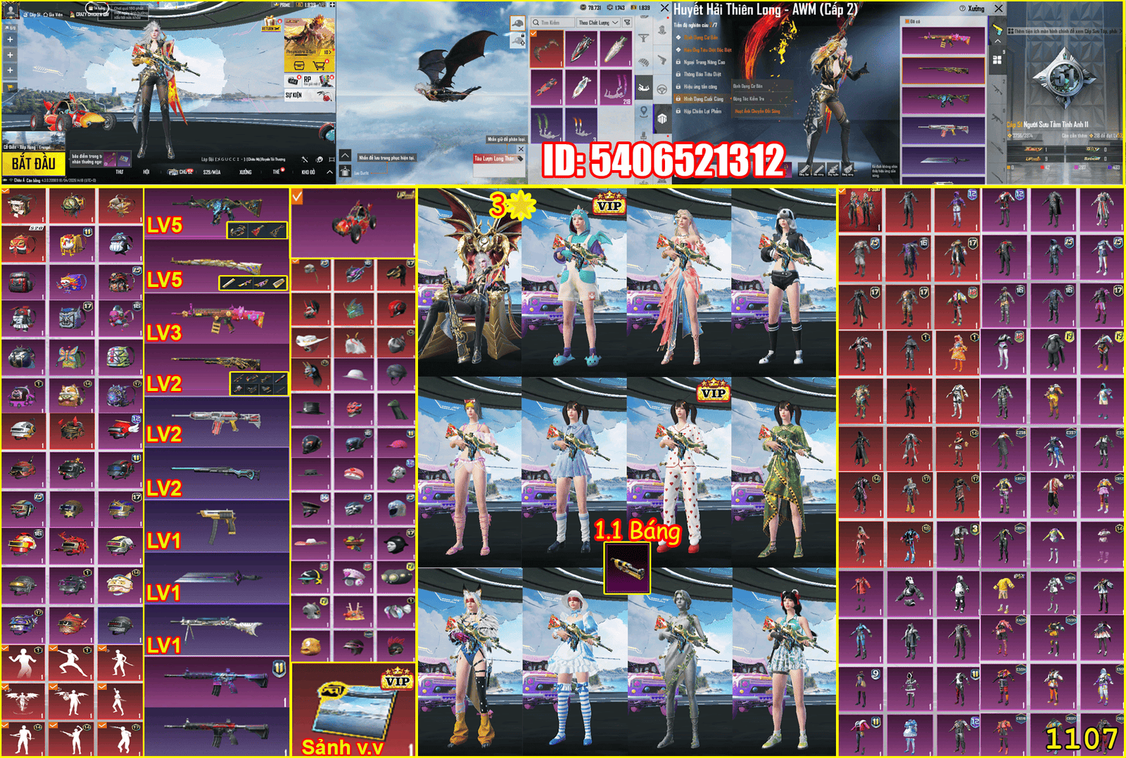 Acc ACC PUBG MOBILE MS 14442